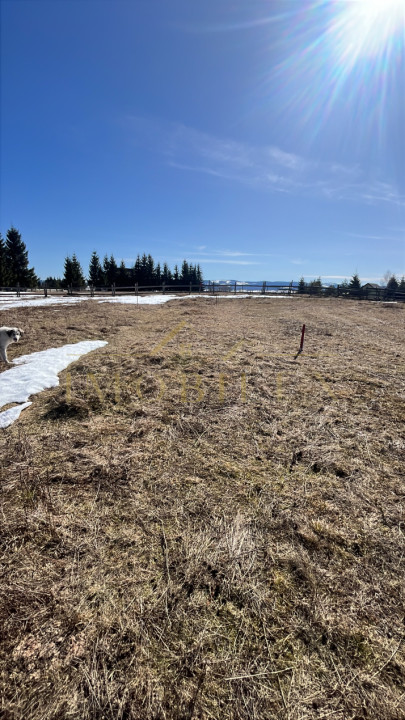 Teren Intravilan de 1804 mp , CF, zona Copcea , Mărișel 