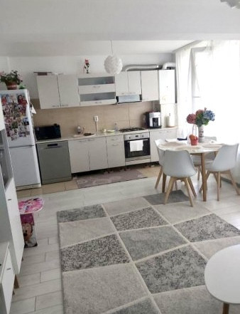 Apartament 3 camere, mobilat, zona Urusagului 