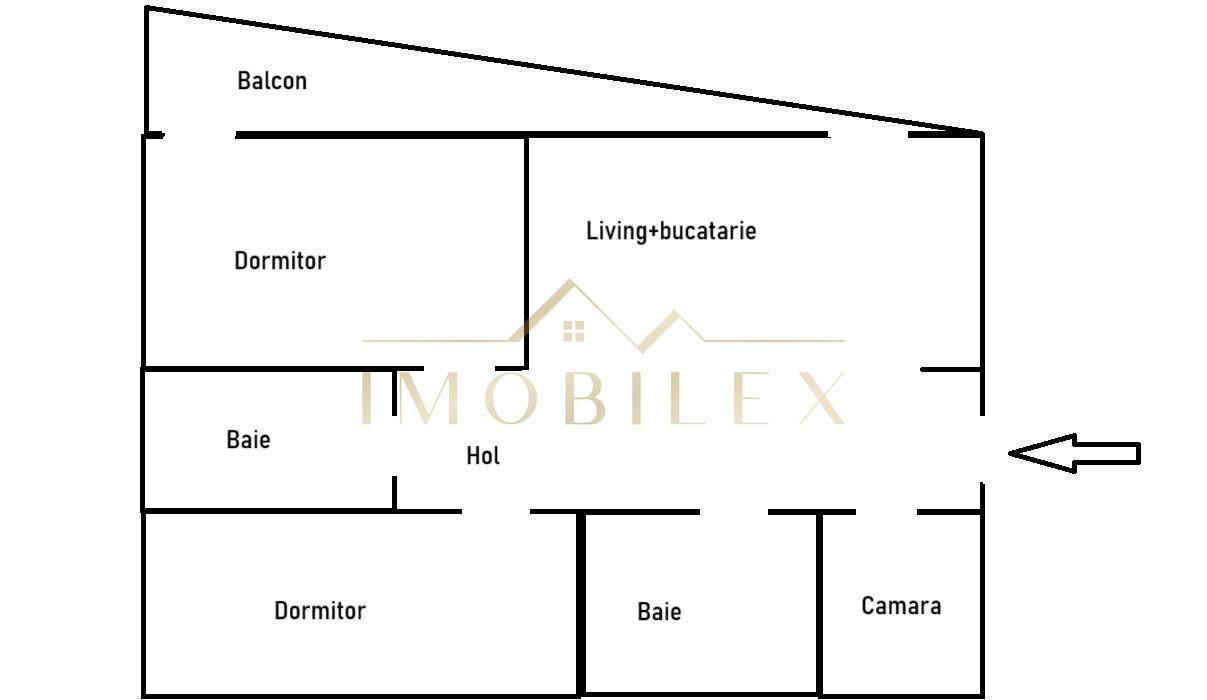 Apartament 3 camere, 65mp, 2 băi, mobilat, zona Fagului/Eroilor
