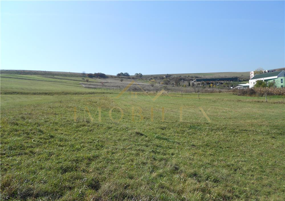 Teren intravilan 3000mp oportunitate investitionala excelentă Radaia