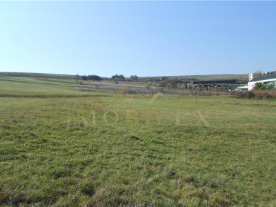 Teren intravilan 3000mp oportunitate investitionala excelentă Radaia