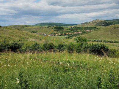 Teren intravilan 2.200 mp | Rădaia – Baciu | Panoramă superbă 