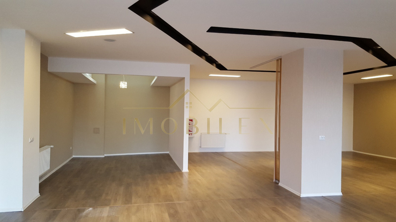 Spațiu comercial 906 mp Zorilor