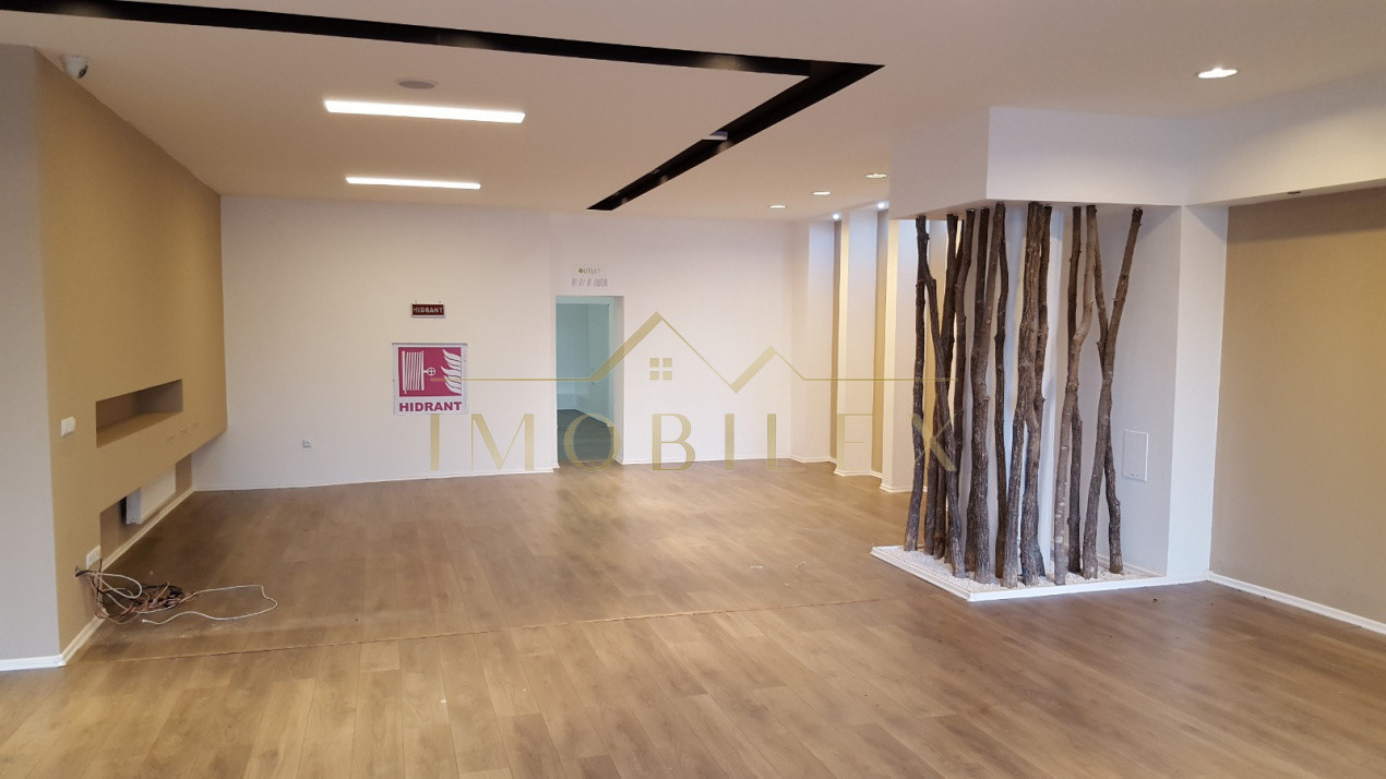 Spațiu comercial 906 mp Zorilor
