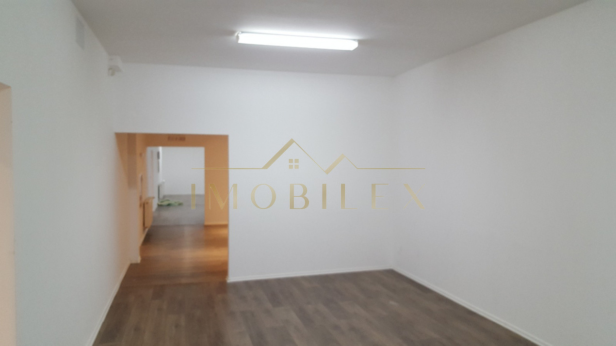 Spațiu comercial 906 mp Zorilor