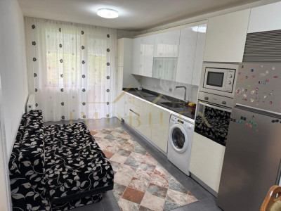 Apartament 2 camere, mobilat, parcare, zona Teilor