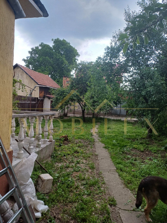 Casa individuala ideala pentru 2 familii sau investitie