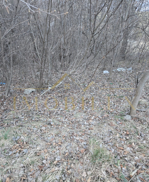 Teren in zona partiei de schi Feleacu