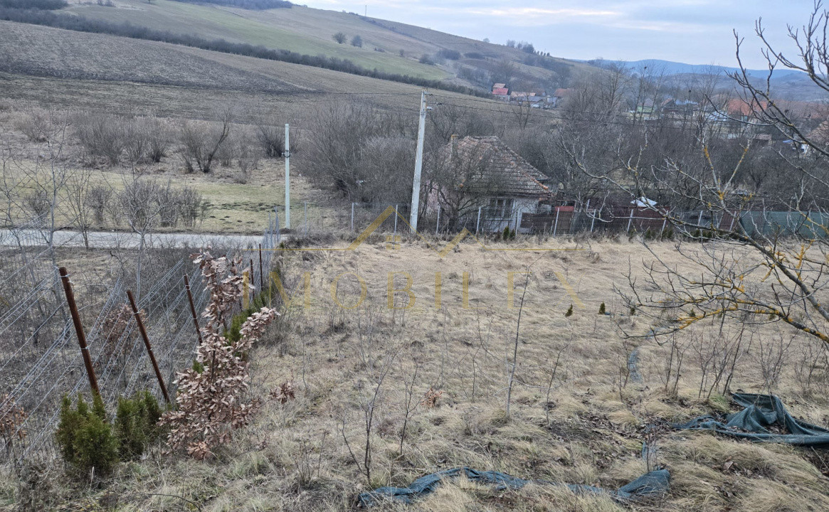 Casa renovabila 80 mp plus anexa 88 mp si teren de 5700mp