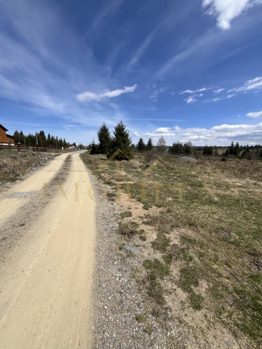 Teren intravilan de 1200 mp , in Beliș