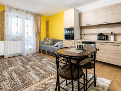 Apartament 2 camere, terasa, zona Vivo/Roata Sf Ioan