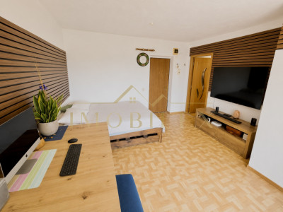 Apartament 1 cameră, mobilat, zona Florilor
