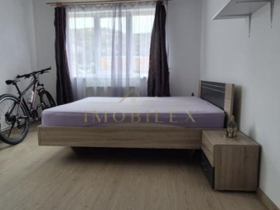 Apartament 1 cameră decomandat, zona Parc Poligon /Subcetate