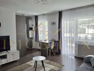 Apartament 2 camere, zona Stejarului 
