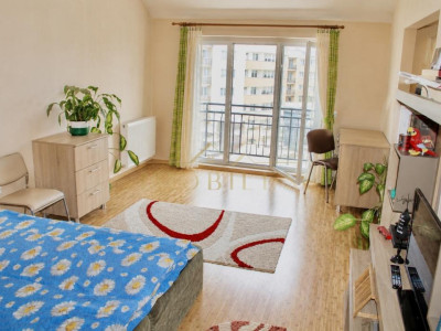Apartament 1 cameră, mobilat, zona Porii