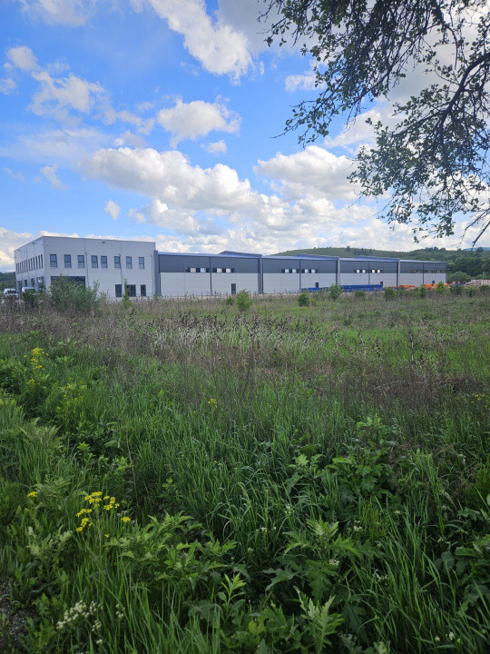 Teren construcție pentru 3 hale industriale în Vlaha