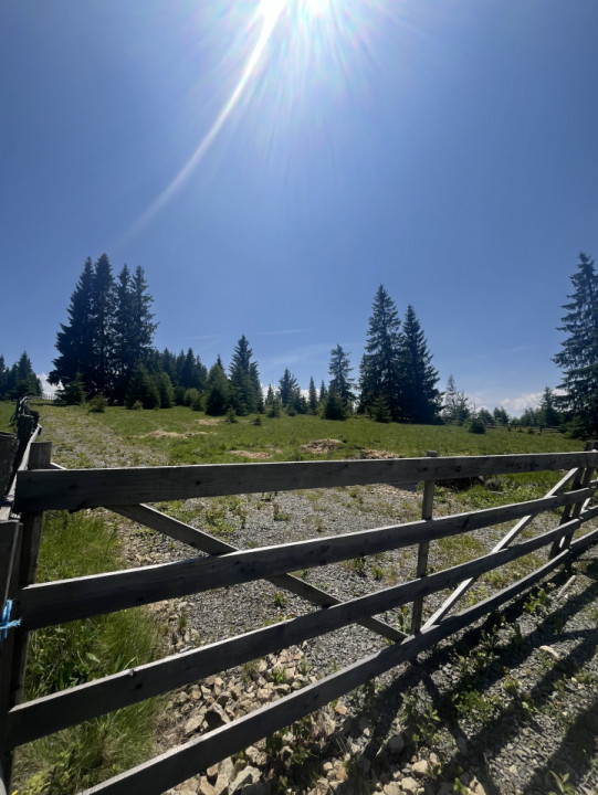 Teren intravilan 5700mp, zona Marisel 