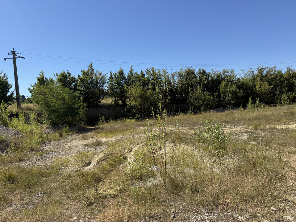 Teren 32.000 mp, oportunitate investiție case/hale Groși Baia Mare 