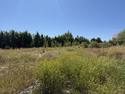 Teren 32.000 mp, oportunitate investiție case/hale Groși Baia Mare 