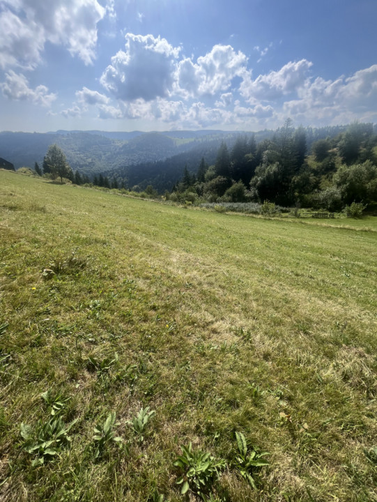Teren 6200 mp, Mărisel, zona frumoasă/ drumul principal 