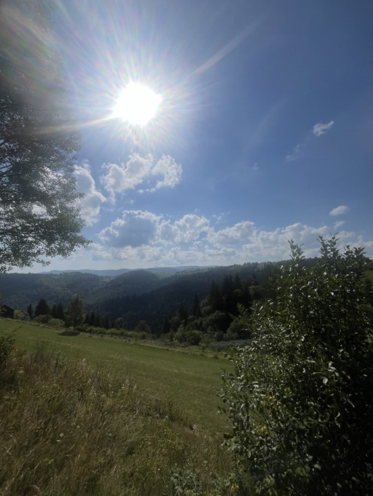 Teren 6200 mp, Mărisel, zona frumoasă/ drumul principal 