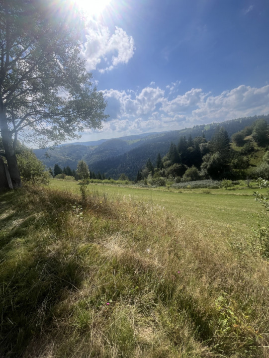 Teren 6200 mp, Mărisel, zona frumoasă/ drumul principal 
