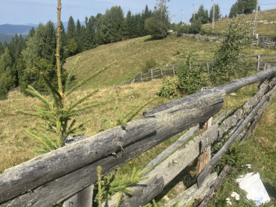Teren de 5100 mp , în Mărișel ,zona Pârtia de ski