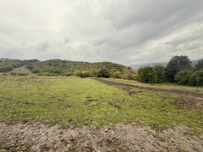 Teren investiție pretabil construcție bloc, zona Cluj-Florești 